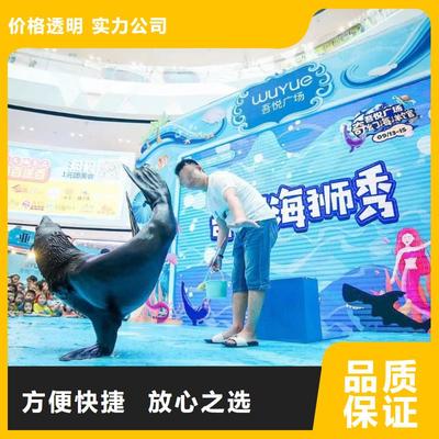 南安市分公司 專業出租表演鸚鵡，打造難忘動物展覽體驗